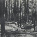 Exhumation of bodies of victims massacred by Nazi-Germans in Lasy Chojnowskie 01